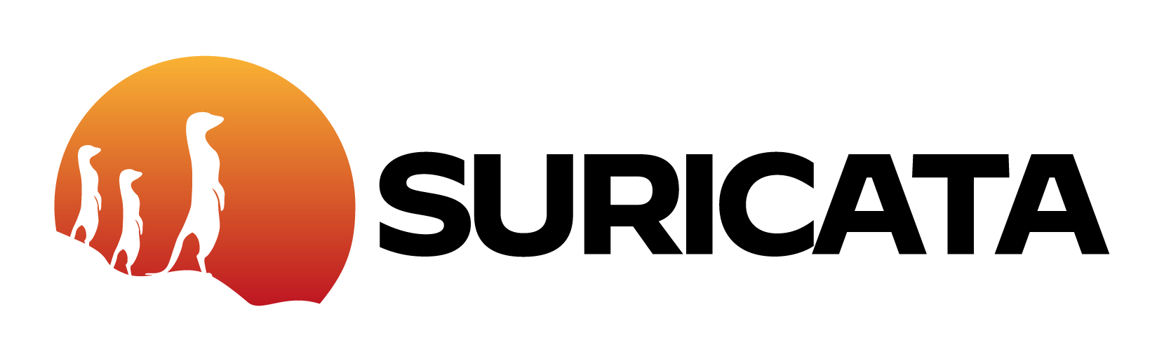 Custom rules with Suricata